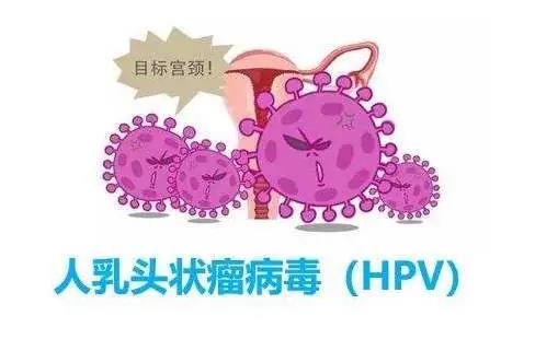 HPVȾ Ԥ